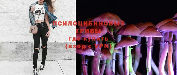 прущий лед Краснослободск