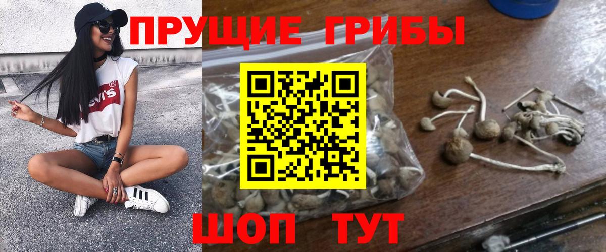 Ухта  Псилоцибиновые грибы Magic Shrooms  Вход с VPN 